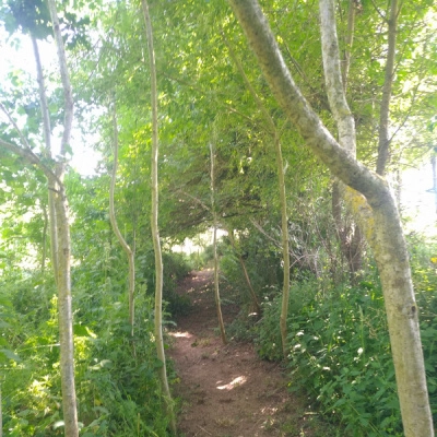 Vente d'un Lieu Naturel à Découvrir (85)