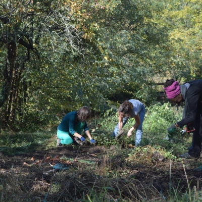 Stage d'Initiation à la Permaculture (07)