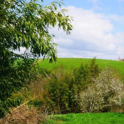 Écohameau de Barthès (81)