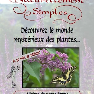 Stages Autour des Plantes (12)