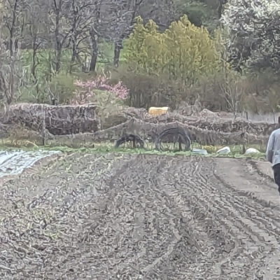 Partenaire Équipe Maraichers en Montagne (73)