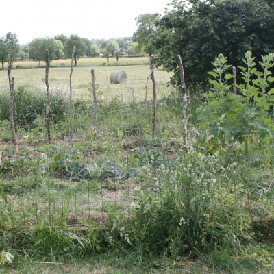 Coloc dans la Campagne (12)