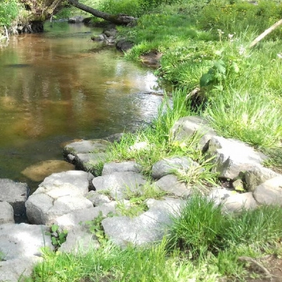 Au Jardin des Saules, Venez me Rencontrer (63)