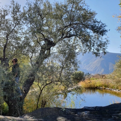 Ferme de Permaculture dans une Vallée Isolée avec 9 Habitations (18)