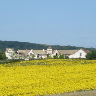 Habitat Partagé en Bourgogne du Sud (71)