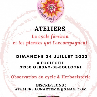 Atelier Cycle Menstruel et les Plantes qui l'Accompagnent (31)