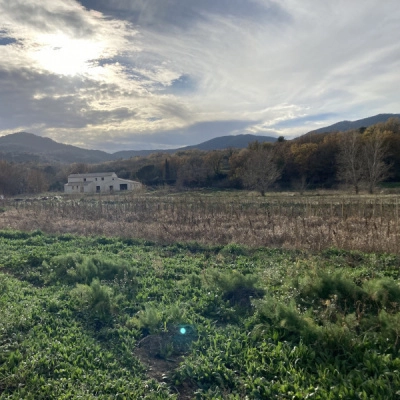 Terres Bio Depuis Toujours (83)