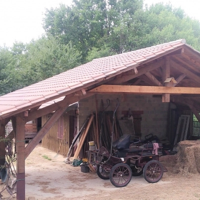 Vente Maison + Gîte Bois + Écurie sur Terrain 17000 m² (24)