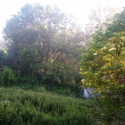 Chantier Participatif sur le Chant du Cerf (09)