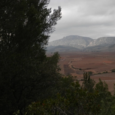 Dans les Corbières (66)