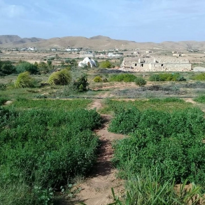 Couple pour Partenariat (oued)