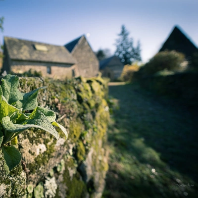 Le "Hameau de la Comté" s'ouvre à de nouveaux habitants ayant (…)