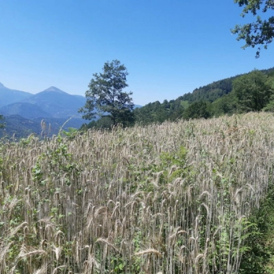 Ferme Autonome de Montagne Accueille de Nouveaux Résidents (09)