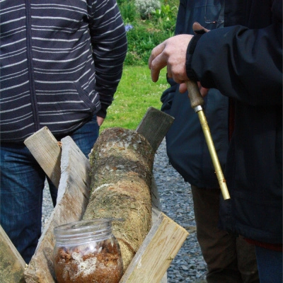 Atelier: Culture de Champignons sur Bûche (22)