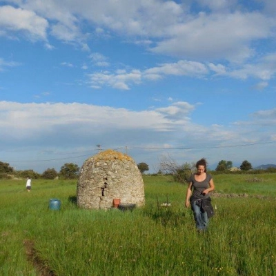 Dans les champs de Montalba le Château