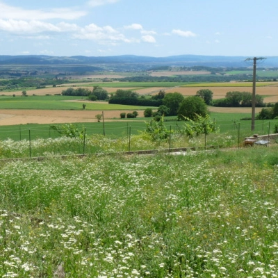 Stage Initiation à la Permaculture (63)