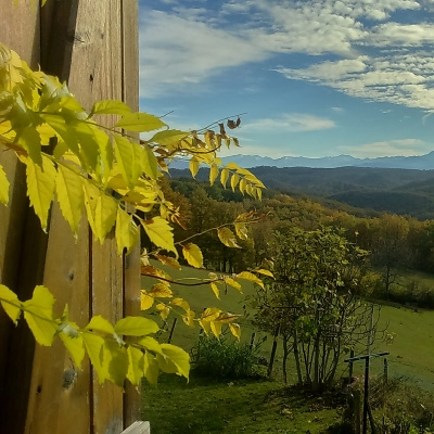 Recherche Maison dans la Nature pour une Vie Belle (31)