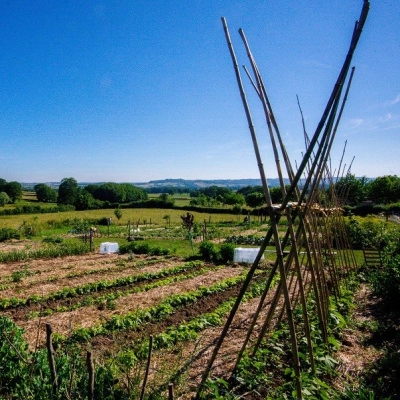 Recherche Assistant Maraicher dans Écocentre en Permaculture (71)