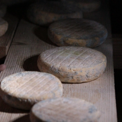 Fromages d'une Petite ferme caprine (30)