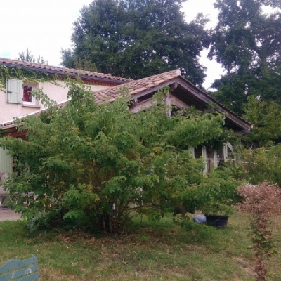 Vente Maison + Gîte Bois + Écurie sur Terrain 17000 m² (24)