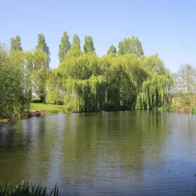 Accueil Tiny Sud Mayenne (53)