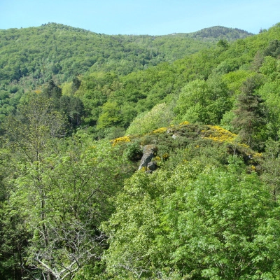 Propriété avec Activité d'Accueil Touristique (07)