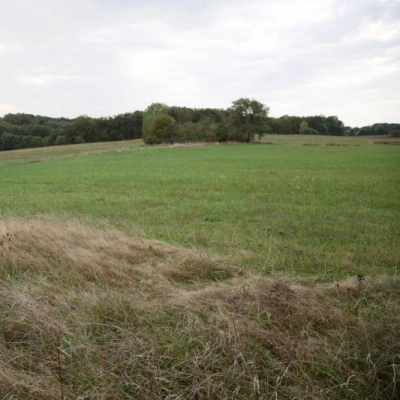 Ecolieu en Touraine (Deux Lots Dispo) (37)