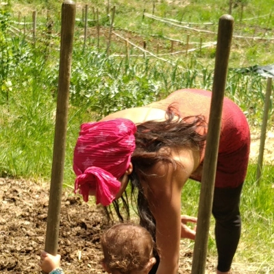 Cherche nouveaux ou nouvelles au Jardin Forêt (46)