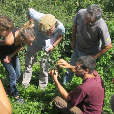 Formation Professionnelle en Permaculture-Niveau 2 (31)