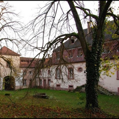 Cherchons Participants pour la Création d'un Ecolieu en Alsace (67)