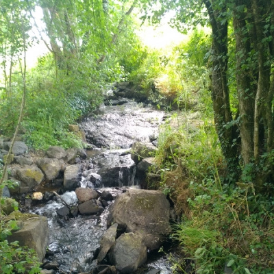 Vente d'un Lieu Naturel à Découvrir (85)