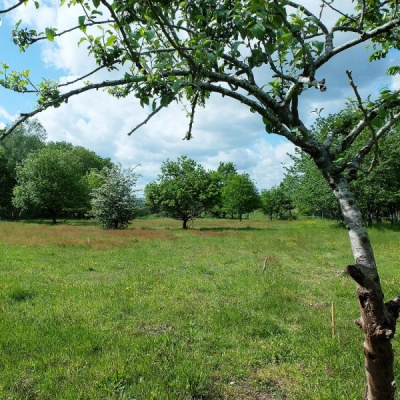 Habitat Participatif en Normandie-Bardouville (76)