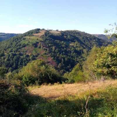 Elevage Ovin avec 8 à 10 ha-Sud Cantal (15)