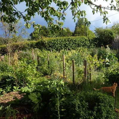 Stage Initiation à la Permaculture, Aide à l'Installation. (71)