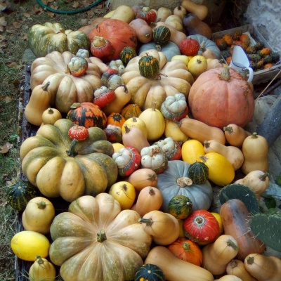 Une Location en Drôme des Collines pour une Jardinière (26)