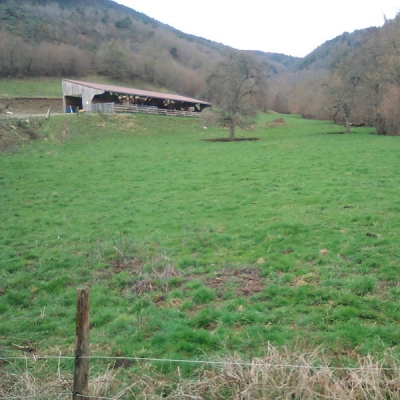 Ferme avec Maison d'Habitation (43)