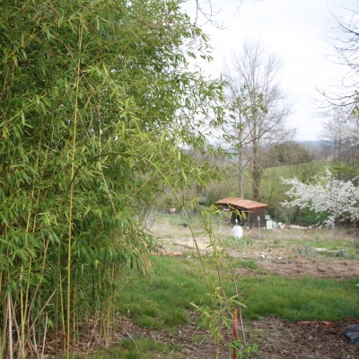 Aquitaine, Gers: Echangerais Maison sur 5000 m² dans le Gers contre . . (32)