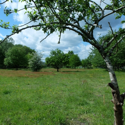 Habitat Participatif en Normandie-Bardouville (76)