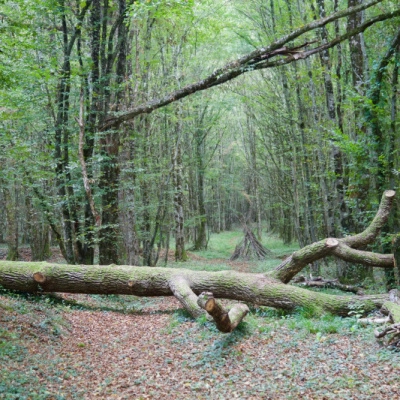 Ecolieu en Touraine (Deux Lots Dispo) (37)