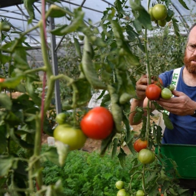 Séjour formateur sur ferme en permaculture agroécologie (22)