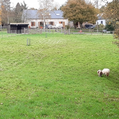 Construction d'une Kerterre en Bretagne (22)