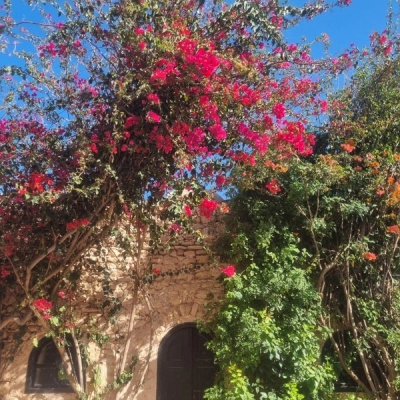 Un Écolieu Près d'Essaouira au Maroc