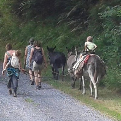 Transhumance d'Anesses sur Gr78 (31)