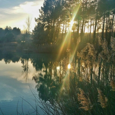 Cabane au Bord du Lac (82)