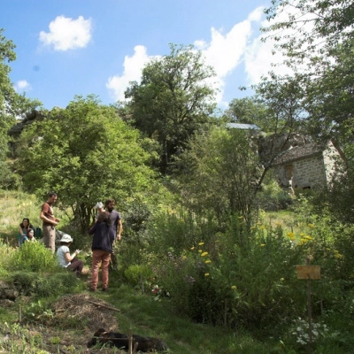 Stages Autour des Plantes (12)