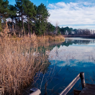 Cabane au Bord du Lac (82)