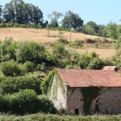 Coloc végane à contre-courant en montagne bourbonnaise (03)