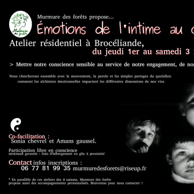 Emotions, de l'Intime au Collectif (35)