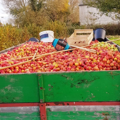 «La Croisée des Chemins» Cherche Candidats à l'Installation (50)