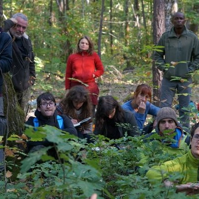 Stages d'Immersion dans la Forêt (37)